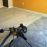Roto Carpet Cleaning
